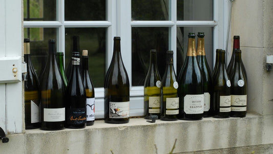 Guide des vins français : régions, cépages et accords parfaits avec fromages - Le Cornichon